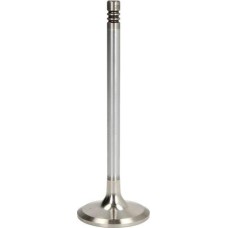 OE Germany 04 0520 101500 - Einlassventil