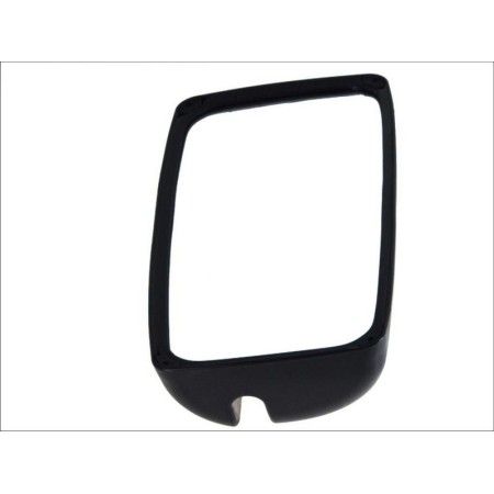 Pacol DAF-MR-007 - Outside Mirror
