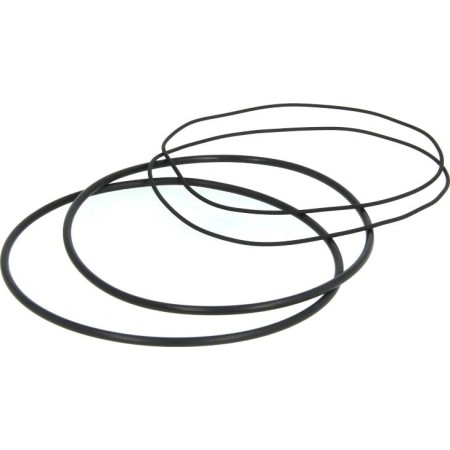 Payen HL5191 - O-Ring Set, cylinder sleeve