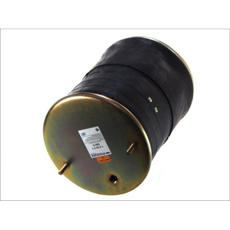 Phoenix 1 D 28 F-1 50875 - Bellow, air suspension