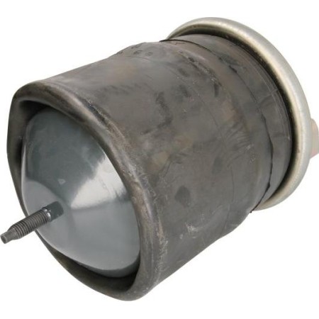 Phoenix 1 DF 17 A-1 52325 - Bellow, air suspension