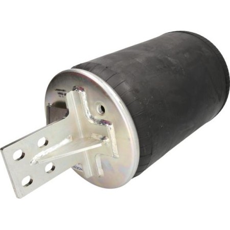 Phoenix 1 DF 20 G-3 NP - Bellow, air suspension