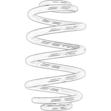RENAULT 82 00 844 169 - Coil Spring