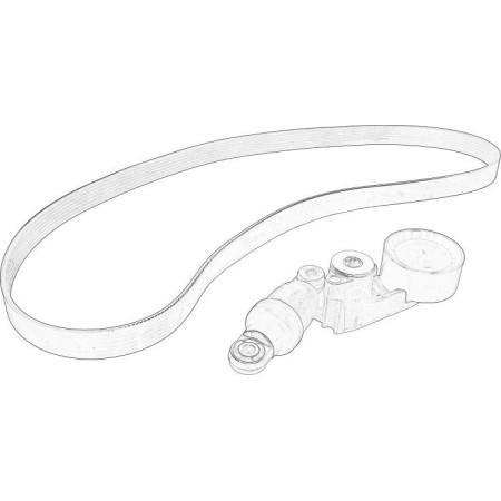 RENAULT 82 01 719 296 - V-Ribbed Belt Set