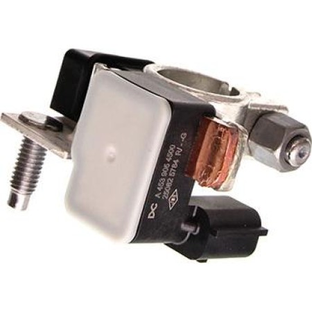 RENAULT 250825784R - Battery Adapter