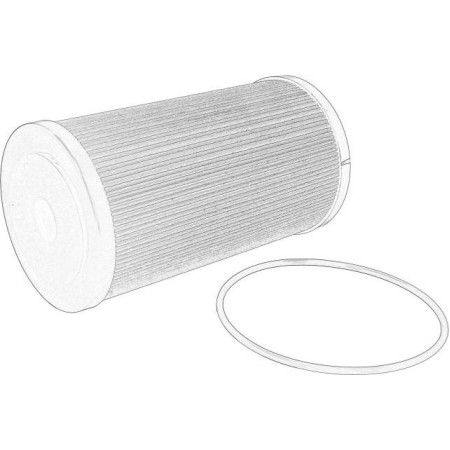 RENAULT 7423958453 - Oil Filter