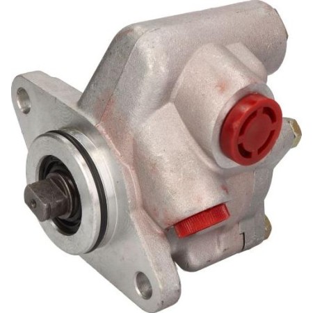 Sasic SAS7070061 - Hydraulic Pump, steering system