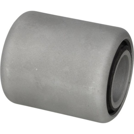 S-TR STR-120906 - Bush, leaf spring