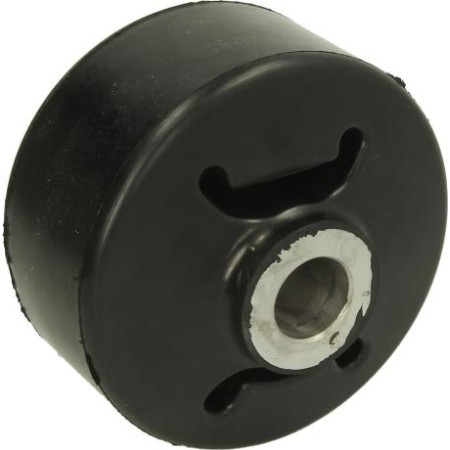 S-TR STR-120910 - Bush, leaf spring