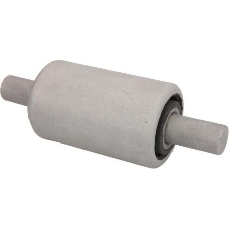 S-TR STR-120817 - Bush, leaf spring