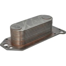 Thermotec D4AG032TT - Radiatore olio, Olio motore