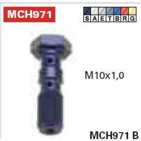 TRW MCH971G - Hollow Screw, brake line