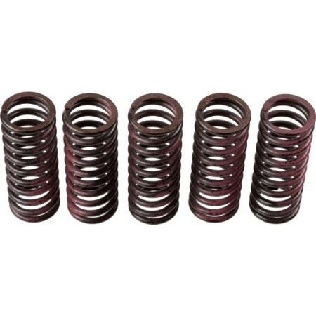 TRW MEF312-5 - Clutch Spring Set