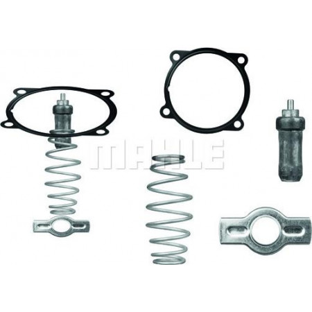 Termostato liquido di raffreddamento Termostato sistema di raffreddamento 79C con guarnizione IVECO EUROSTAR EUROTECH MP EUROTRAKKER STRALIS I STRALI IVECO EUROTECH MP, 01.1992 - MAHLE TX 51 79D