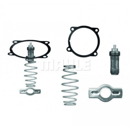 Termostat Iveco Stralis/Trakker 504071087,LE451179