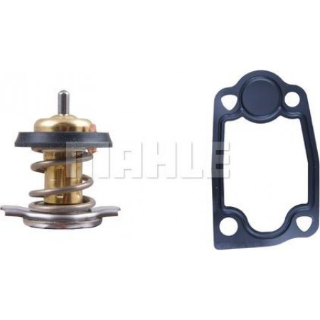 Termostato liquido di raffreddamento Termostato sistema di raffreddamento 79C IVECO DAILY IV DAILY VI CITROEN JUMPER FIAT DUCATO PEUGEOT B FIAT DUCATO (250_, 290_), Autobus, 07.2006 - MAHLE TX 266 79D