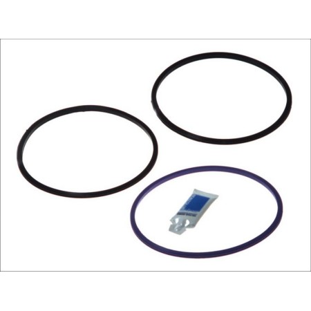 Victor Reinz 15-39516-01 - O-Ring Set, cylinder sleeve