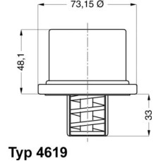 WAHLER 4619.75 - Coolant thermostat / housing