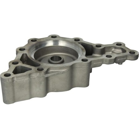 ZF 1315302121 - Oil Pump, manual transmission