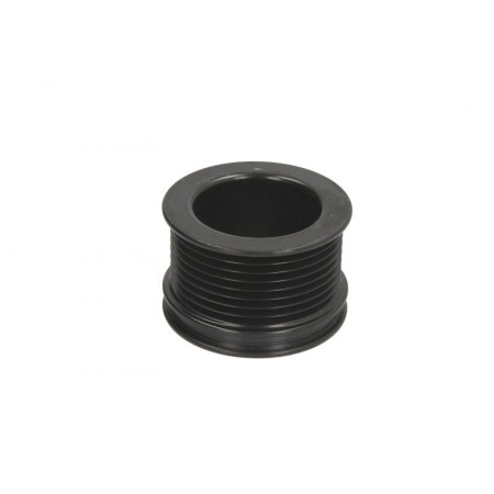 Katrol, dynamo Dynamopoelie RVI BOSCH F 00M 991 259