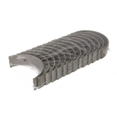 Kit cuscinetti albero motore STD RVI KERAX PREMIUM IRISBUS ILIADE dCi11-270-dCi11G 08.00- MAHLE 209 HS 21552 000