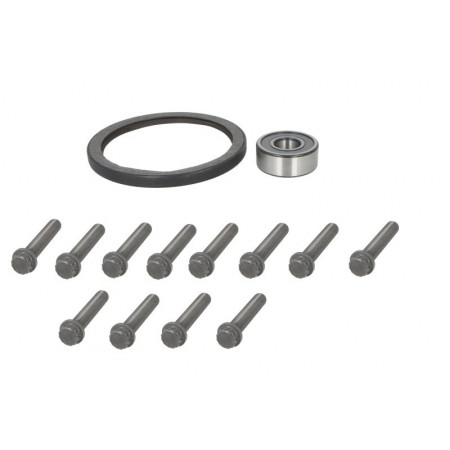 Reparatursatz Schwungrad Schwungradschraubensatz MERCEDES ACTROS MP4 / MP5 ANTOS AROCS 07.11- SACHS 3423 601 008