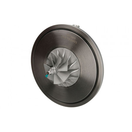 Cartuccia / CHRA / Core Assy Cartuccia/CHRA/Core Assy tipo ruota di compressione: Alluminio MAN TGA TGS I TGX I ​​​​NEOPLAN CITYLINER TOURLINER 01.04- EVORON EVCH5009