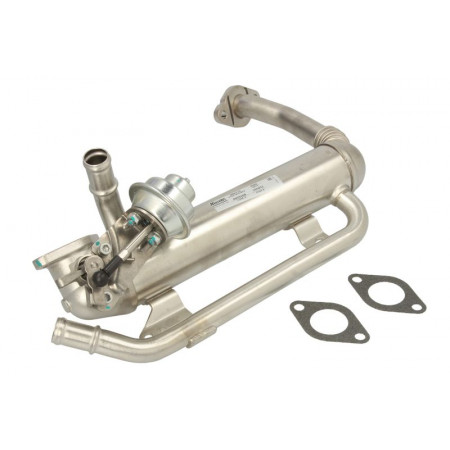 Kühler, Abgasrückführung Abgaskühler AUDI A3 SEAT ALTEA ALTEA XL CORDOBA IBIZA III IBIZA IV IBIZA IV SC LEON TOLEDO III SKODA FABIA II OCTAVIA II ROOMSTER SUPERB II 1.9D/2.0D 10.01- NISSENS NIS 989275