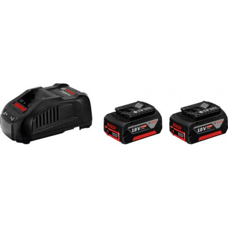 Accu's Accuset Professional 18V 18V 5Ah aantal accu's: 2 stuks Li-Ion GAL 1880 CV BOSCH 1 600 A00 B8J