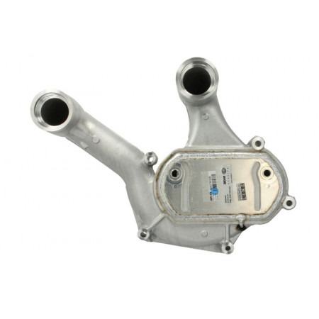 Intercooler, compressore intercooler MAN TGL I D0834LFL40-D0834LFLAB 04.05- MAHLE CI 234 000P