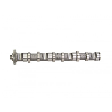 Arbre à cames Arbre à cames côté échappement AUDI A4 B6 A4 B7 A6 C5 VW PASSAT B5.5 2.5D 02.00-05.06 AUTLOG NW5025