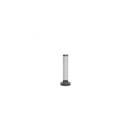 Pompa del carburante Mozzo della pompa BOSCH 2 443 120 028