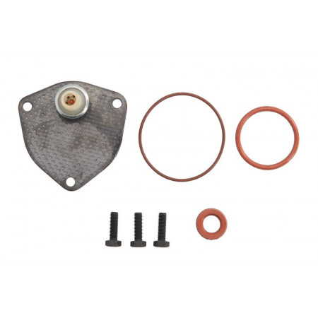 Kit de réparation, pompe à vide (Système de freinage) Kit de réparation de pompe à vide AUDI 80 B3 80 B4 A4 B5 A6 C4 A6 C5 CABRIOLET B3 FORD GALAXY I SEAT ALHAMBRA AROSA CORDOBA CORDOBA VARIO IBIZA II 1.7D/1.9D/1.9DH 05.89-03.10 MEAT & RECHERCHÉ