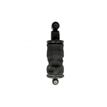 Ammortizzatore sospensione cabina Ammortizzatore cabina conducente Posteriore Destro/Sinistro MAN TGA TGL I TGM I TGS I TGX I ​​​​D0834LFL40-D3876LF02 04.00- SACHS 313 184