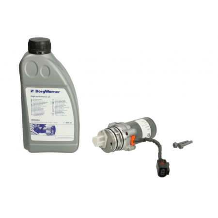 Reparatieset differentieelmontage met olie VOLVO S60 II S60 III S80 II S90 II V40 V60 I ​​V60 II V70 III V90 II XC40 XC60 I XC60 II XC70 II XC90 II 2.0-3.2 08.07- BORG WARNER BW2002774_2000884