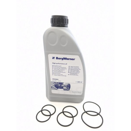 Steering box Differential pump o-ring set with oil BORG WARNER BW100255_2000884