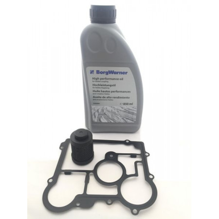 Filtro hidráulico tracción total embrague de disco Filtro de aceite del diferencial con aceite OPEL INSIGNIA A INSIGNIA A COUNTRY INSIGNIA B INSIGNIA B COUNTRY INSIGNIA B GRAND SPORT SAAB 9-3 9-5 2.0-2.8 01.07- BORG WARNER BW2006273_2000884