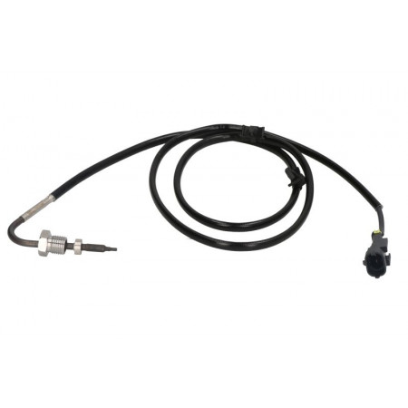 Sensor, uitlaatgastemperatuur Uitlaattemperatuursensor voor DPF OPEL CORSA D CORSA D/HATCHBACK 1.3D 07.06-08.14 DELPHI TS30179
