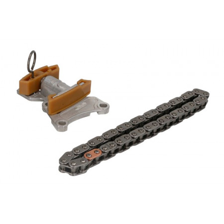 Valve de commande, position d'arbre à cames Kit de distribution chaîne + éléments AUDI A1 A3 A4 B6 A4 B7 A6 C6 TT SEAT ALTEA ALTEA XL EXEO EXEO ST LEON TOLEDO III SKODA OCTAVIA II VW EOS GOLF PLUS V GOLF V 2.0/2.0D 07.02-11.17 AUTOLOG KT1007