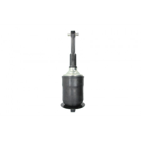 Ammortizzatore Anteriore Destro/Sinistro MAN TGA TGS I TGX I ​​04.00- SACHS 317 325