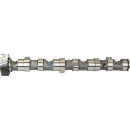 camshaft AUDI A4 B6 (2000–2005) – Autlog NW5006