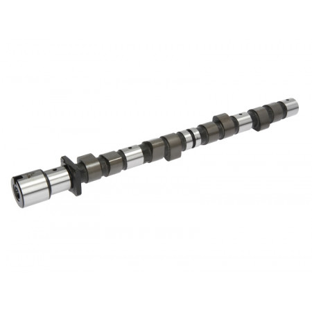 Albero a camme Albero a camme BMW 3 E30 3 E36 5 E34 1.6/1.8 06.87-06.94 AUTLOG NW5007