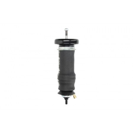 Amortizor, suspensie cabina Amortizorul cabinei soferului Fata/Spate Dreapta/Stanga cu tampon SCANIA 4 DC11.01-DT12.08 05.95-04.08 MAGNUM TECHNOLOGY MC164