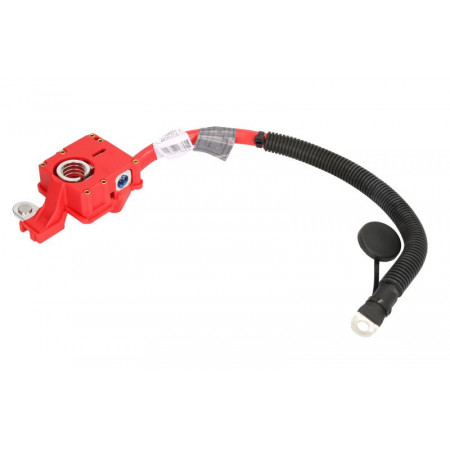 Adattatore batteria Capocorda/adattatore con protezione antincendio BMW 5 E60 X5 E70 X6 E71 E72 3.0-4.8 12.01-07.14 AKUSAN K0W017AKN