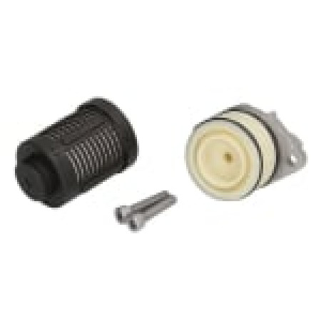 Oil filter, differential Haldex 4 generation oil differential filter AUDI A3 TT SEAT ALTEA XL SKODA OCTAVIA II VW GOLF VI PASSAT B6 TIGUAN TRANSPORTER V 1.4-3.2 11.04- BORG WARNER BW2003085