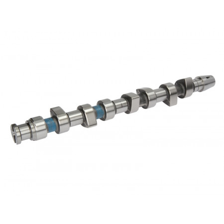 Ax cu came Arbore cu came AUDI A3 SKODA OCTAVIA I VW BORA BORA I GOLF IV NEW BEETLE POLO III CLASSIC 1.9D 09.96-03.10 AUTLOG NW5016