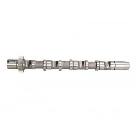 Camshaft Camshaft Intake side exhaust valves AUDI A4 B6 A4 B7 A6 C5 VW PASSAT B5.5 2.5D 02.00-05.06 AUTLOG NW5024