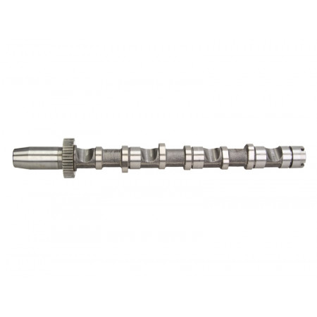 Arbre à cames Pièce d'admission d'arbre à cames AUDI A4 B6 A4 B7 A6 C5 VW PASSAT B5.5 2.5D 02.00-05.06 AUTLOG NW5026