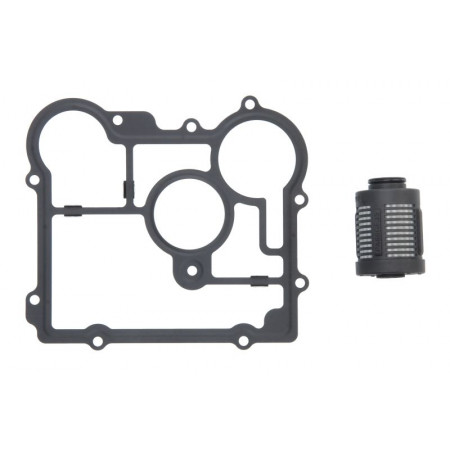 Filtro hidráulico, acoplamiento de placas de tracción total Filtro de aceite diferencial OPEL INSIGNIA A INSIGNIA A COUNTRY INSIGNIA B INSIGNIA B COUNTRY INSIGNIA B GRAND SPORT SAAB 9-3 9-5 2.0-2.8 01.07- BORG WARNER BW2006273