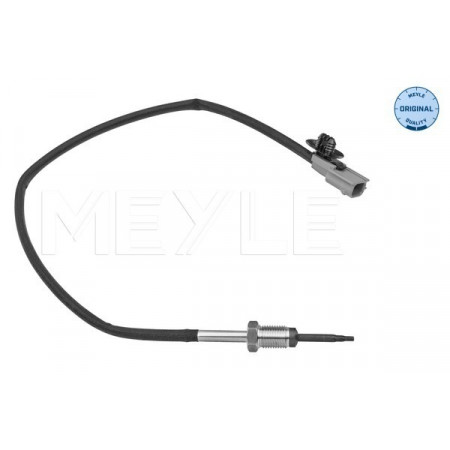 Capteur température des gaz d'échappement Sonde de température des gaz d'échappement avant turbo RENAULT GRAND SCENIC II GRAND SCENIC III LAGUNA II MEGANE MEGANE II MEGANE III SCENIC II SCENIC III 1.9D 11.02- MEYLE 16-14 800 0028
